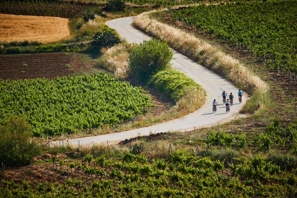 Cycling in Sicily - Exodus Adventure Travels - Italy - Image 24