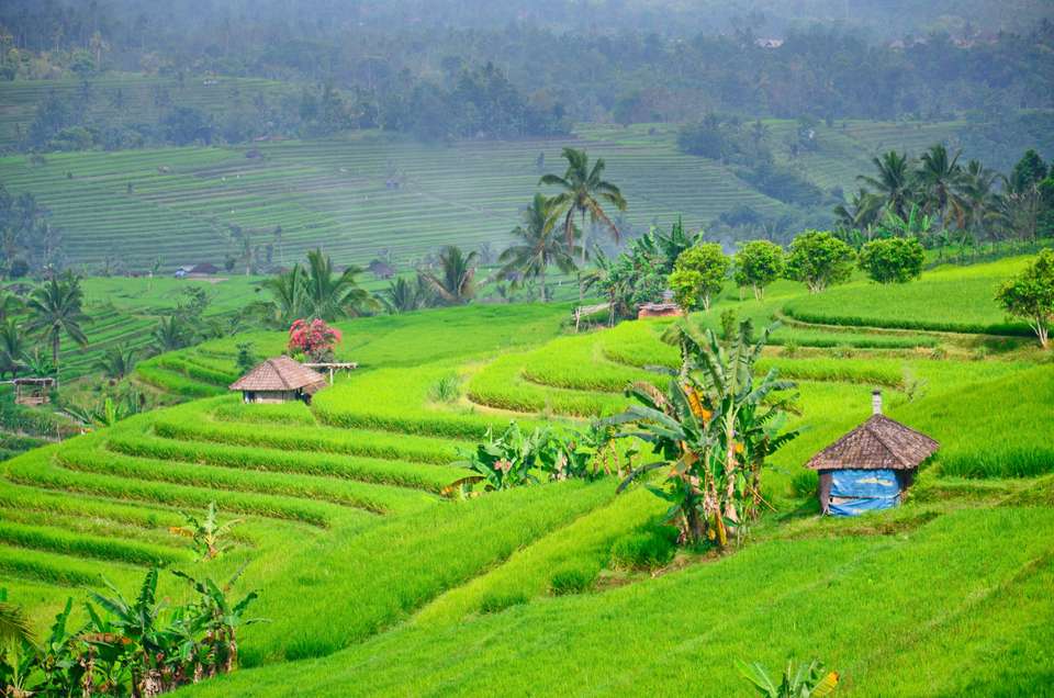 Cycling Indonesia's Islands - Exodus Adventure Travels - Indonesia