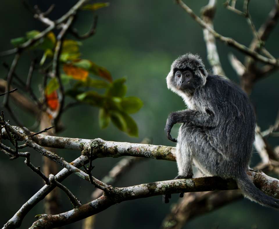 Cycling Indonesia's Islands - Exodus Adventure Travels - Indonesia - Image 9