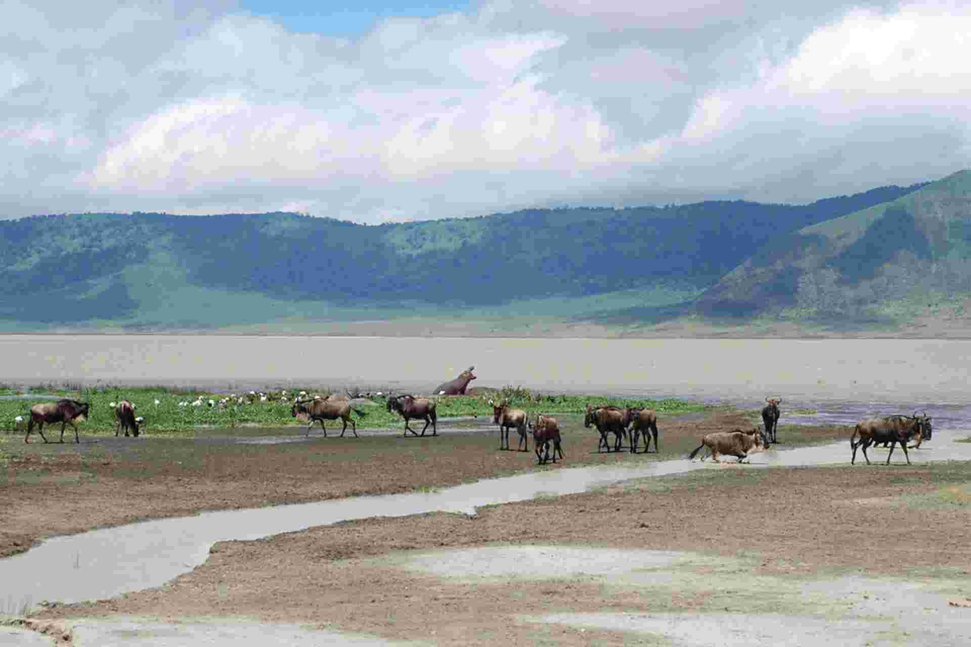 Cycling Kilimanjaro to the Ngorongoro Crater
