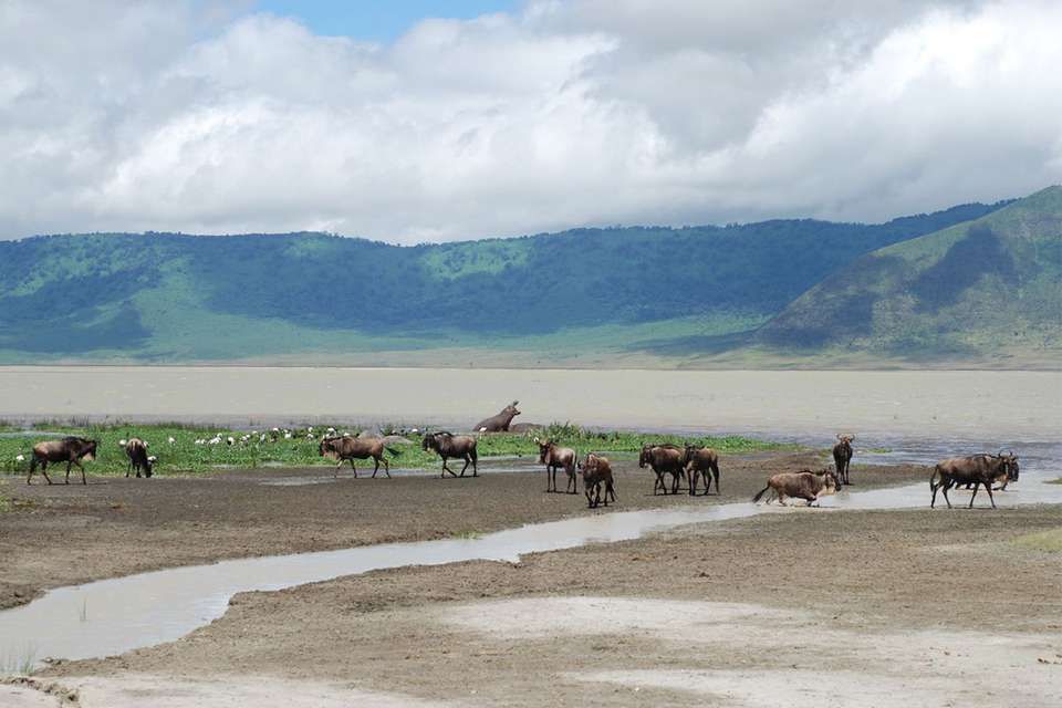 Cycling Kilimanjaro to the Ngorongoro Crater - undefined - Image 1