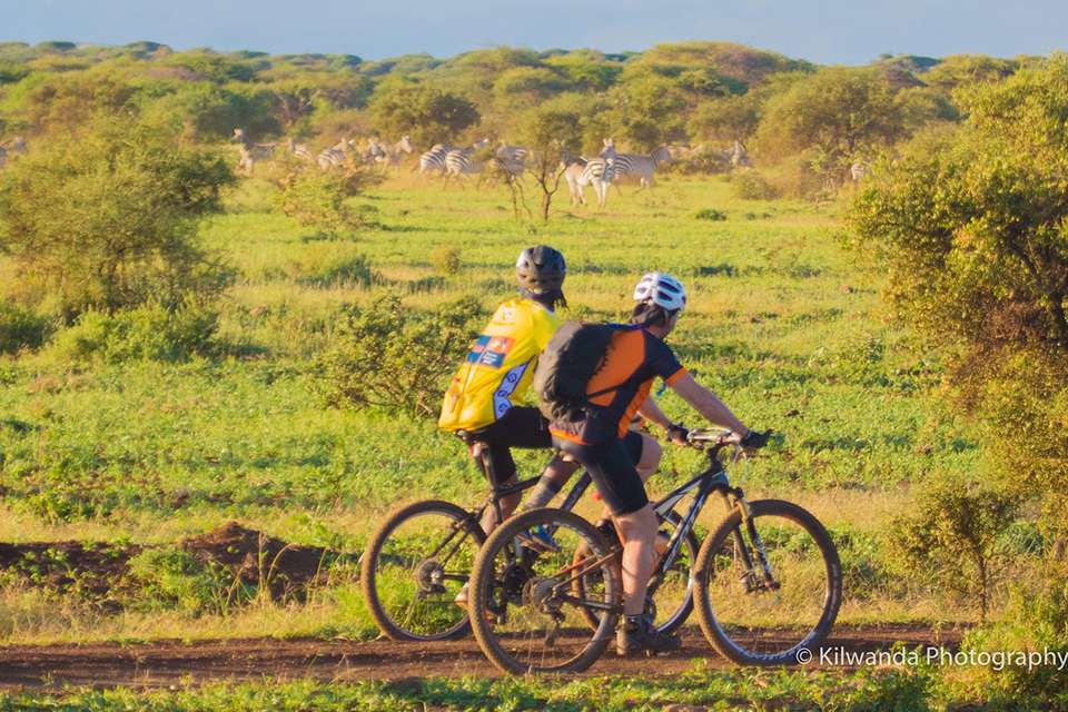Cycling Kilimanjaro to the Ngorongoro Crater - undefined - Image 2