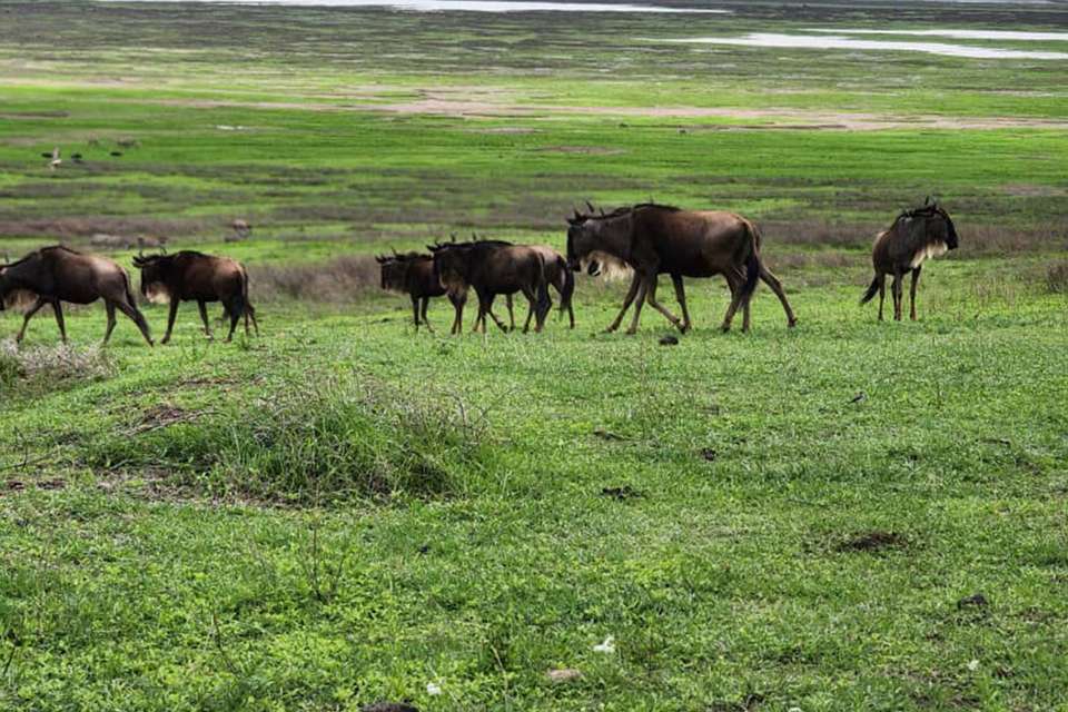 Cycling Kilimanjaro to the Ngorongoro Crater - undefined - Image 9