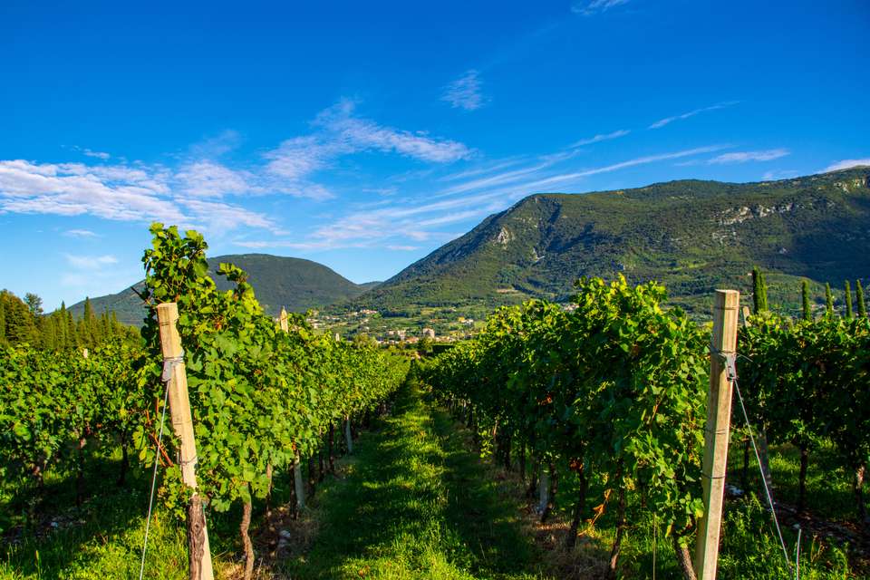 Cycling Lake Garda by e-bike - Exodus Adventure Travels - Italy - Image 2