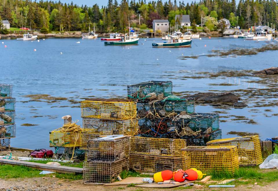 Cycling Maine's Coast & National Park - Exodus Adventure Travels - USA - Image 2