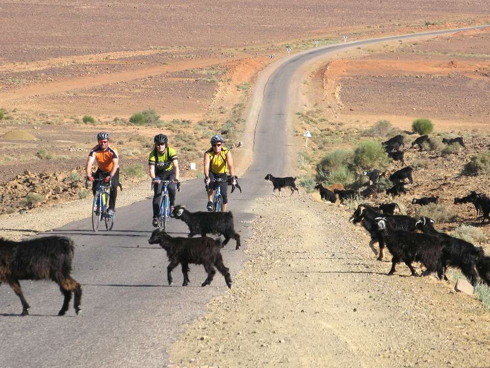 Cycling Morocco - 8 days - On The Go Tours - Morocco - Image 4