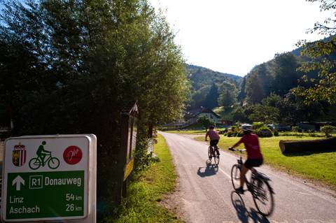 Cycling On The Danube From Passau To Vienna