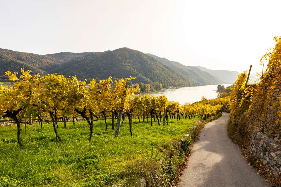Self-Guided Cycling on the Danube from Passau to Vienna - Exodus Adventure Travels - Germany - Image 14