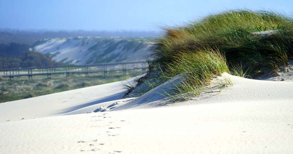 Cycling Portugal - Porto to Lisbon - Explore - Portugal - Image 5