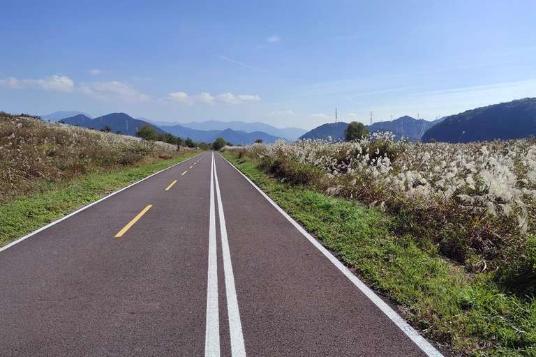 Cycling Seoul to Busan trip - alternative tour available