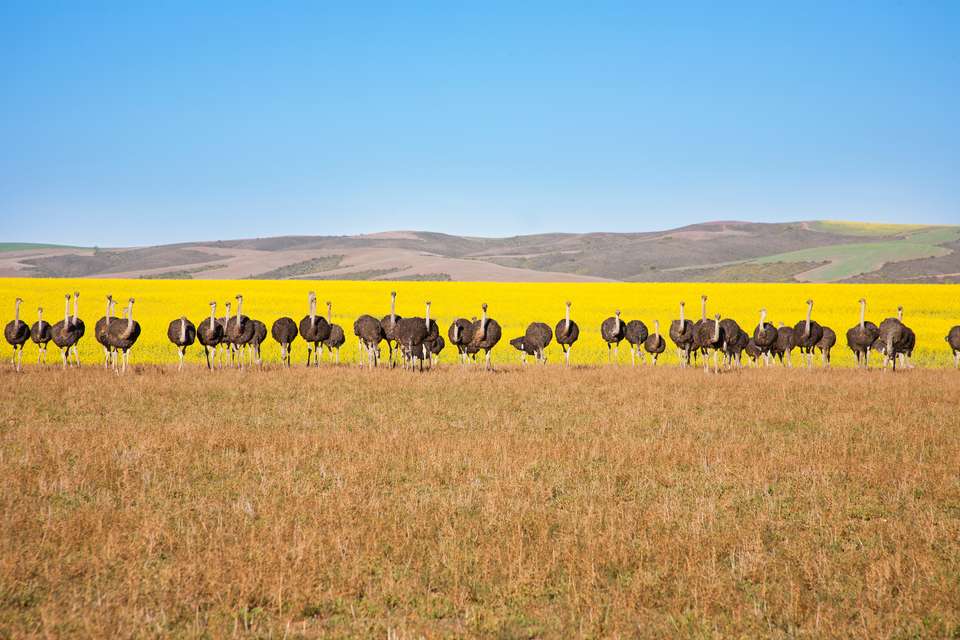 Cycling South Africa's Garden Route - Exodus Adventure Travels - South Africa - Image 15