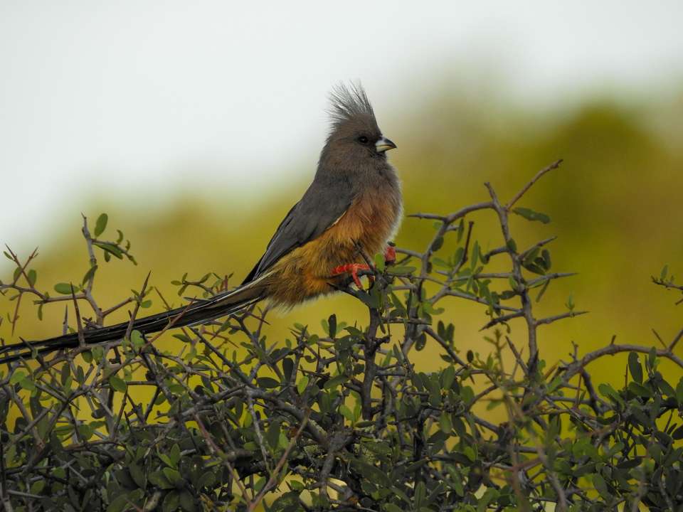 Cycling South Africa's Garden Route - Exodus Adventure Travels - South Africa - Image 4