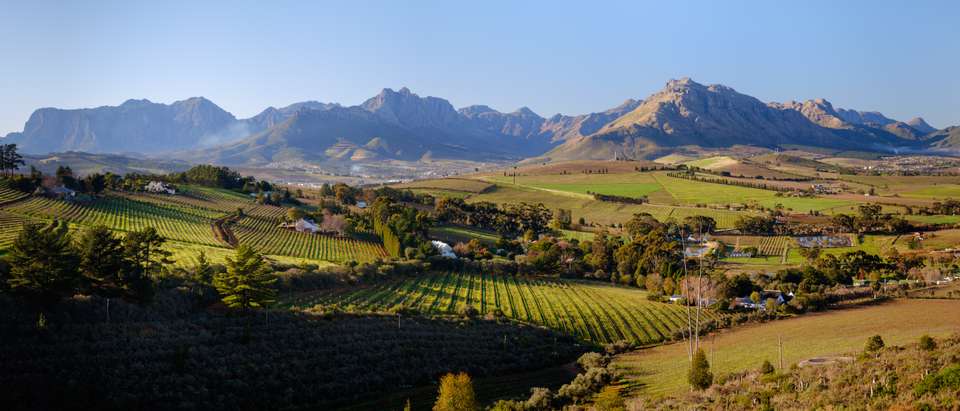Cycling South Africa's Route 62 - Exodus Adventure Travels - South Africa - Image 17