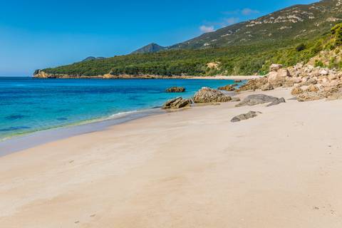 Portugal Bicycle Tour: Cycling The Algarve's Rota Vicentina