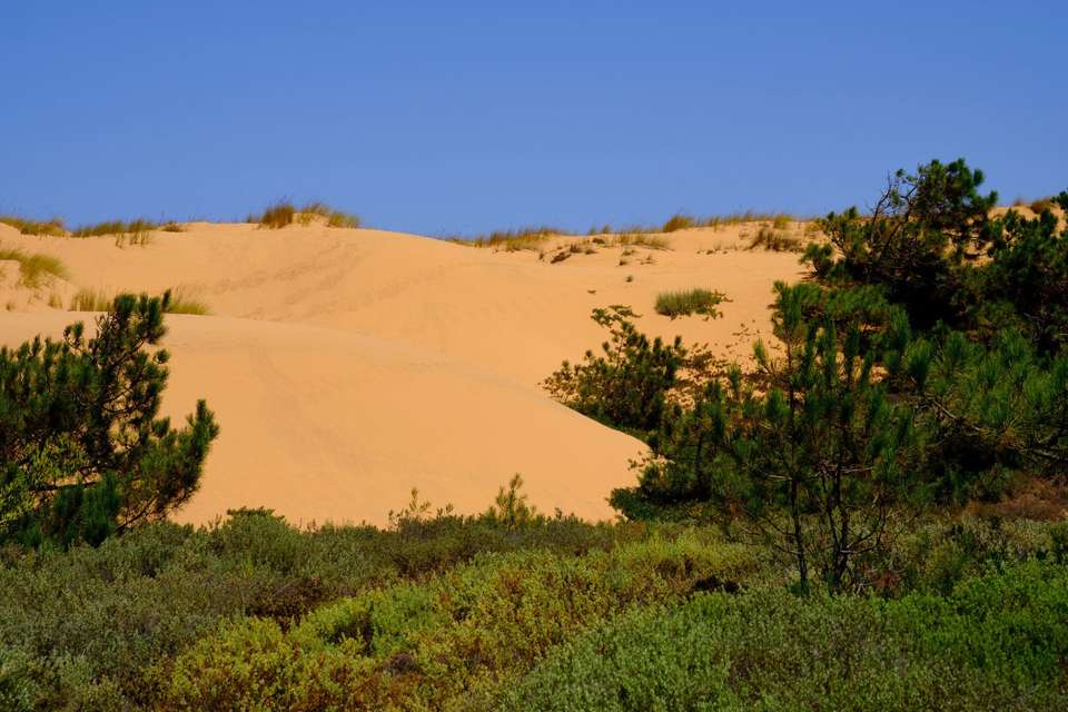 Cycling the Algarve's Rota Vicentina - Exodus Adventure Travels - Portugal