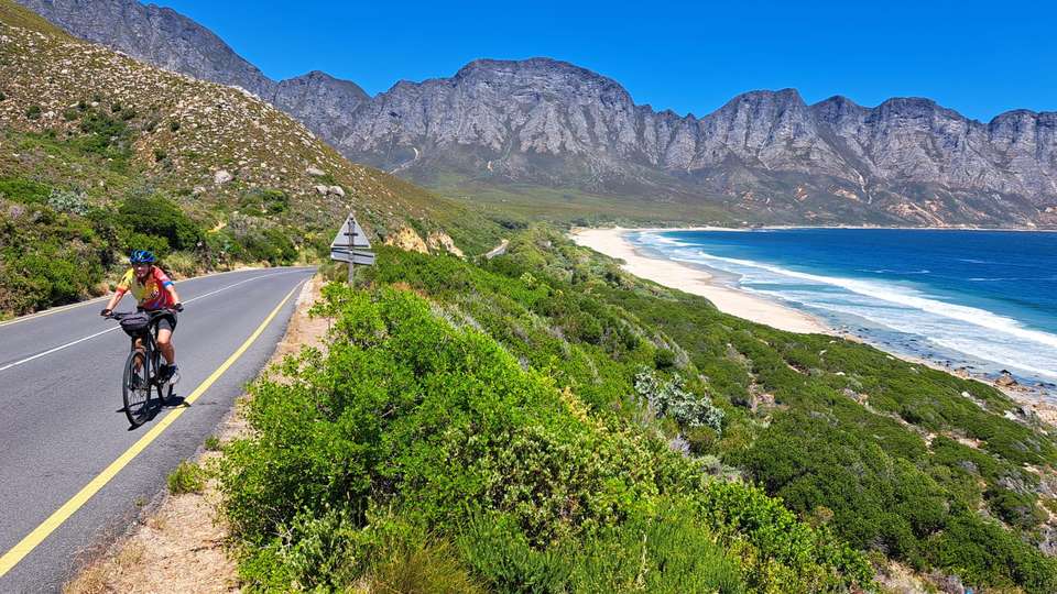Cycling the Cape & Winelands - Exodus Adventure Travels - South Africa - Image 23