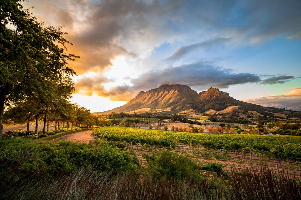 Cycling the Cape & Winelands - Exodus Adventure Travels - South Africa - Image 21