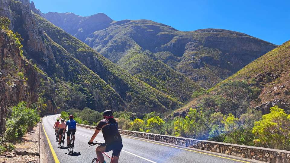Cycling the Cape & Winelands - Exodus Adventure Travels - South Africa - Image 18