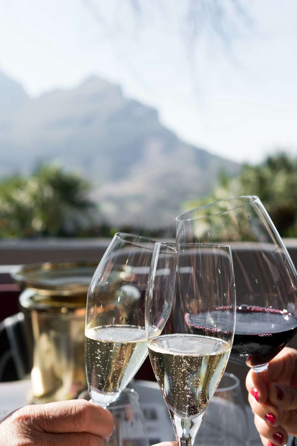 Cycling the Cape & Winelands - Exodus Adventure Travels - South Africa - Image 15