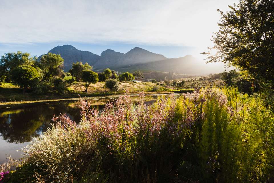 Cycling the Cape & Winelands - Exodus Adventure Travels - South Africa - Image 13