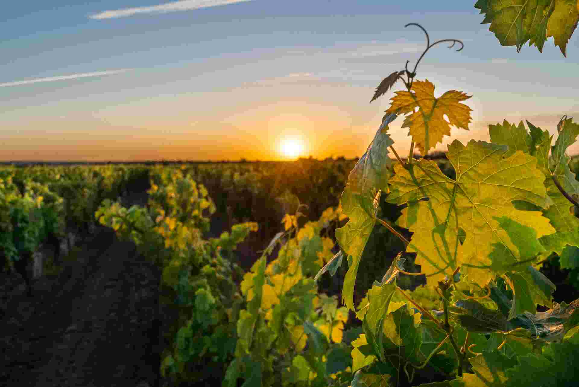 Cycling the Chateaux of the Loire - Upgraded