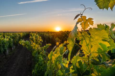 Cycling The Chateaux Of The Loire - Upgraded - March 2026