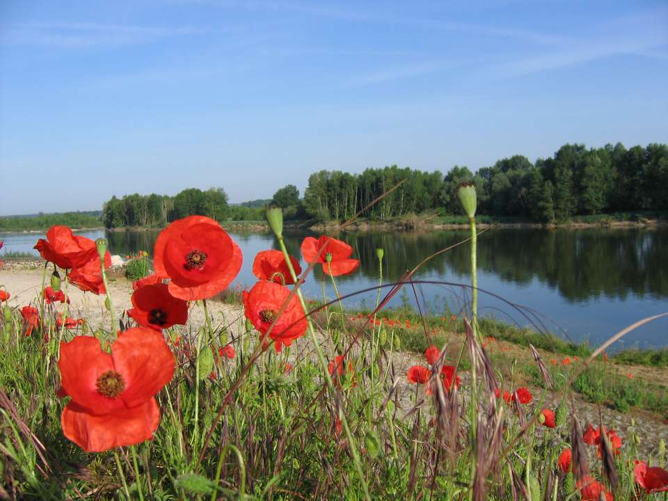 Cycling the Chateaux of the Loire - Upgraded Short - Exodus Adventure Travels - France - Image 6