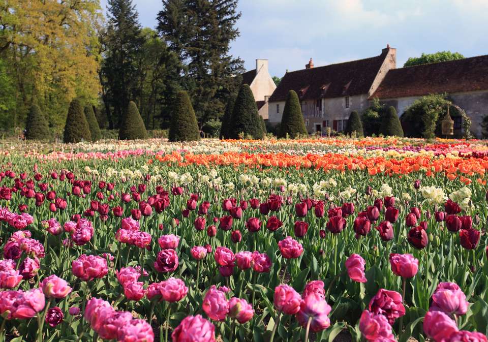 Cycling the Chateaux of the Loire - Upgraded - Exodus Adventure Travels - France - Image 5