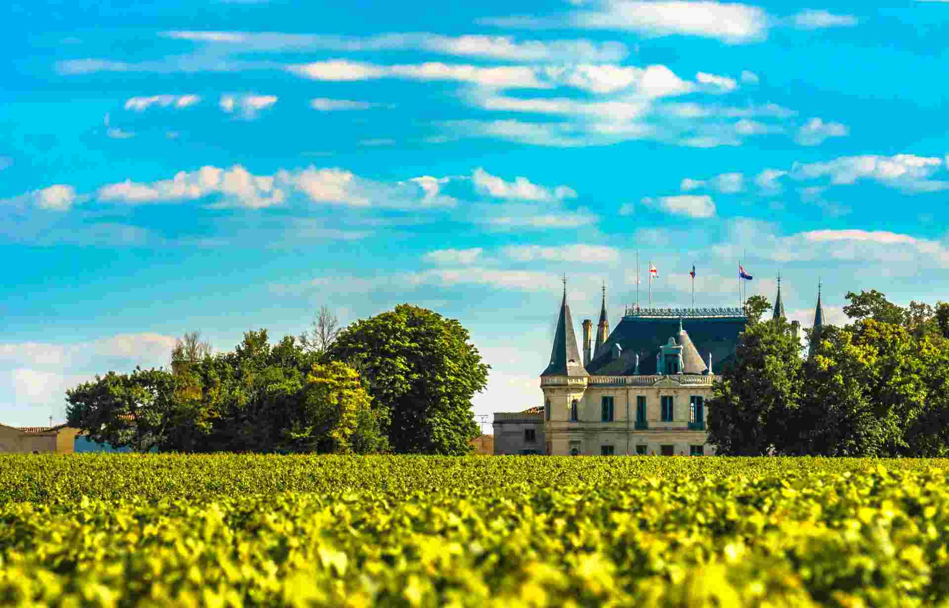 Cycling The Grand Crus of Bordeaux