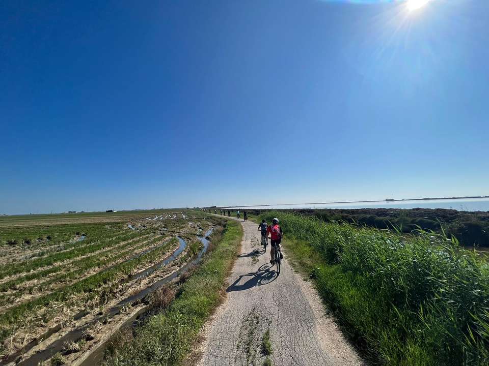 Cycling the Mediterranean Coast in Spain - Exodus Adventure Travels - Spain - Image 12