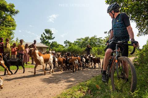 Cycling The Wilds Of Uganda - January 2026