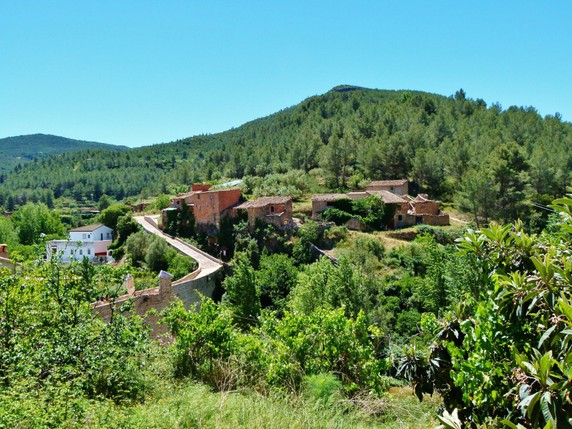Image 5 of 15