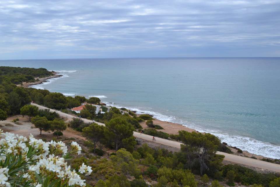 Cycling Valencia and the Orange Blossom Coast - Exodus Adventure Travels - Spain - Image 12