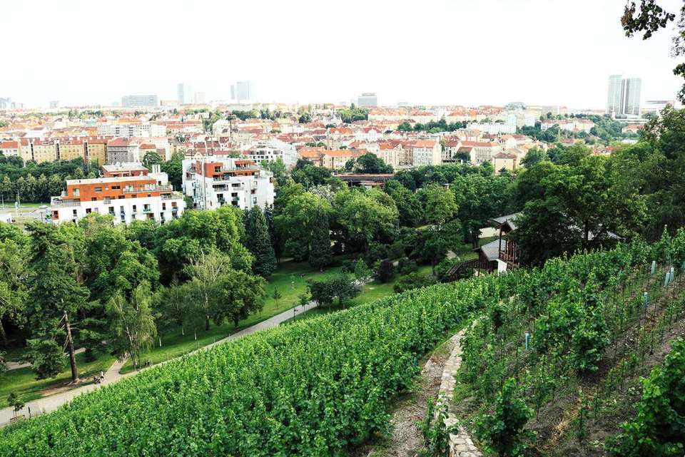 Prague Short Break: City & Beyond - Intrepid Travel - Czech Republic - Image 9