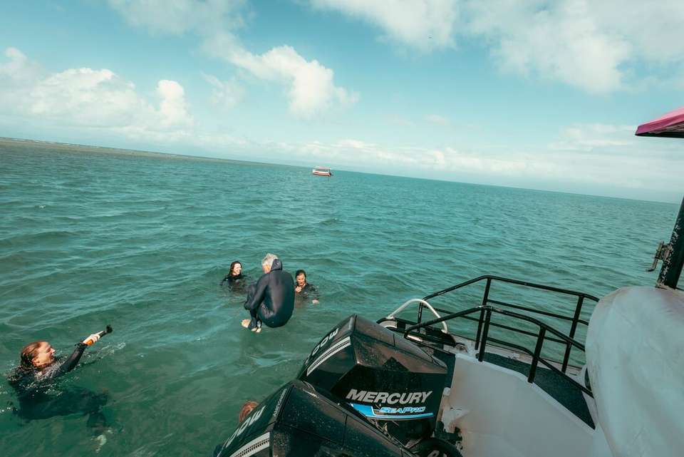 Daintree & Cape Tribulation Adventure - Intrepid Travel - Australia - Image 20