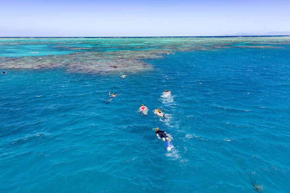 Daintree & Cape Tribulation Adventure - Intrepid Travel - Australia - Image 13