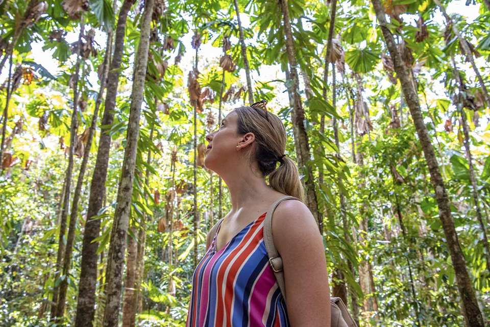 Daintree & Cape Tribulation Adventure - Intrepid Travel - Australia - Image 12