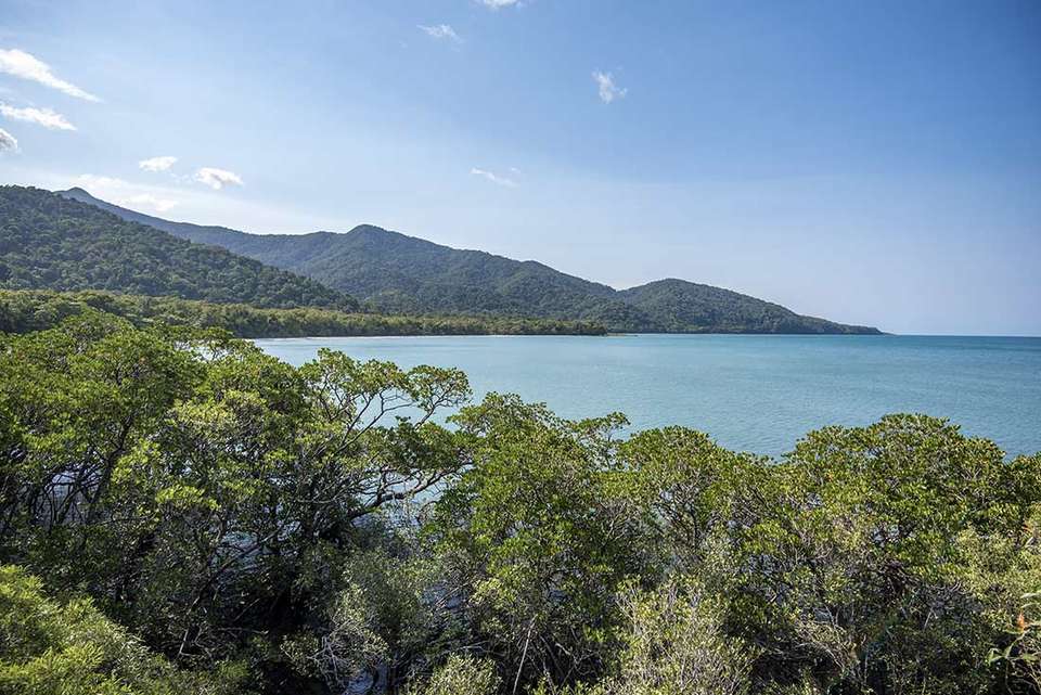 Daintree & Cape Tribulation Adventure - Intrepid Travel - Australia - Image 7