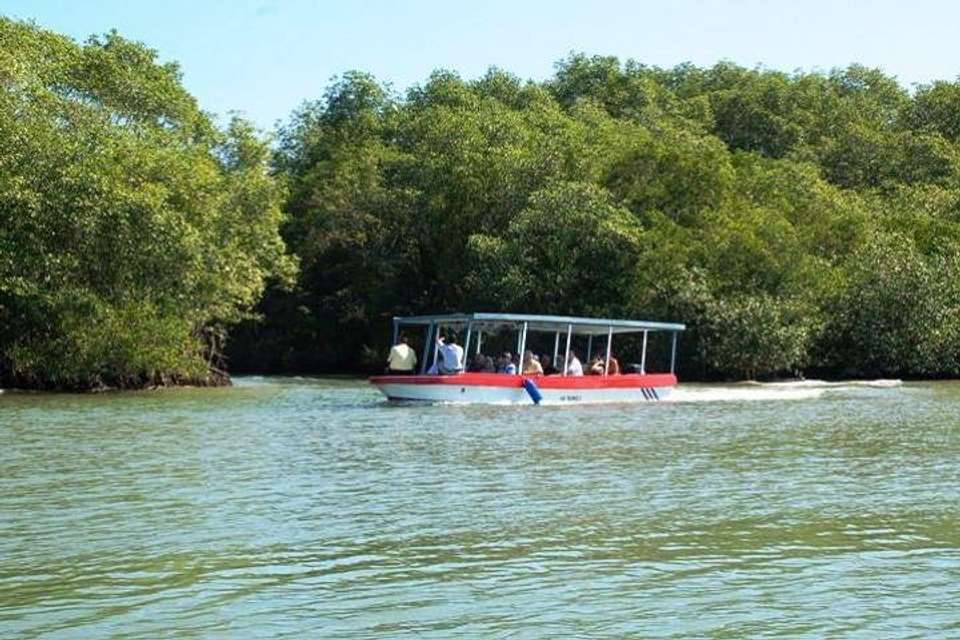 Damas Island By Boat Tour From Manuel Antonio - Destination Services - Costa Rica - Image 1