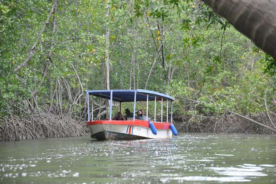 Damas Island By Boat Tour From Manuel Antonio - Destination Services - Costa Rica - Image 2