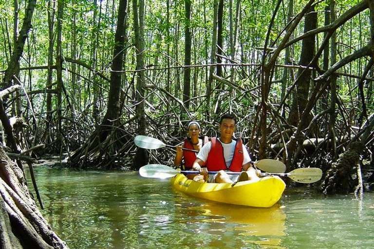 Damas Island Kayaking Tour From Manuel Antonio trip - alternative tour available