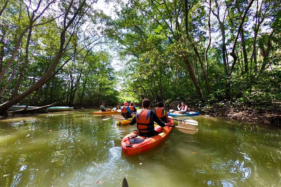 Damas Island Kayaking Tour From Manuel Antonio - undefined - Image 6