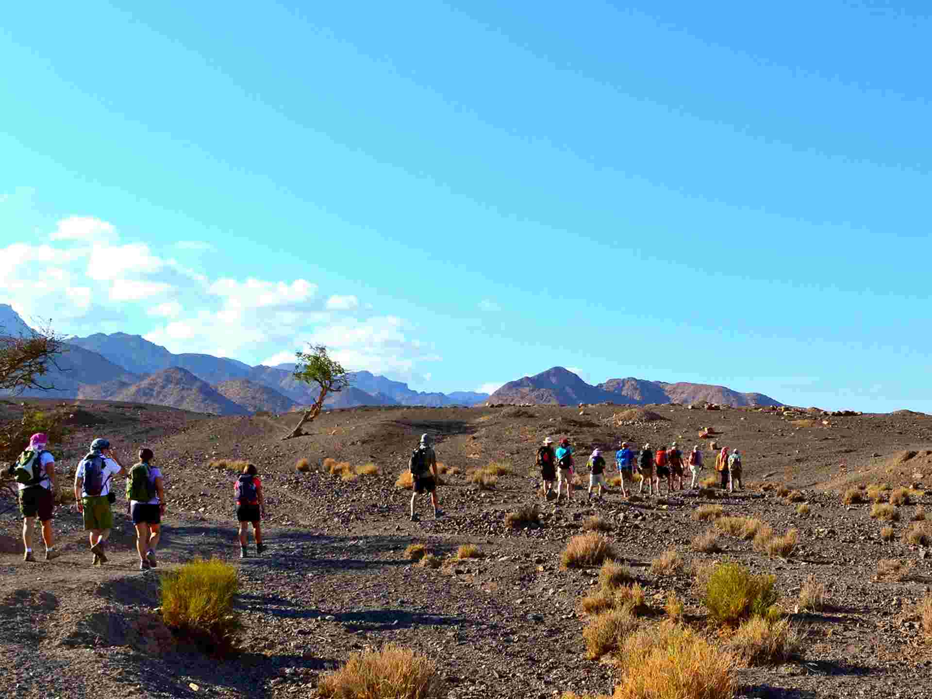 Dana to Petra Trek - 8 Days