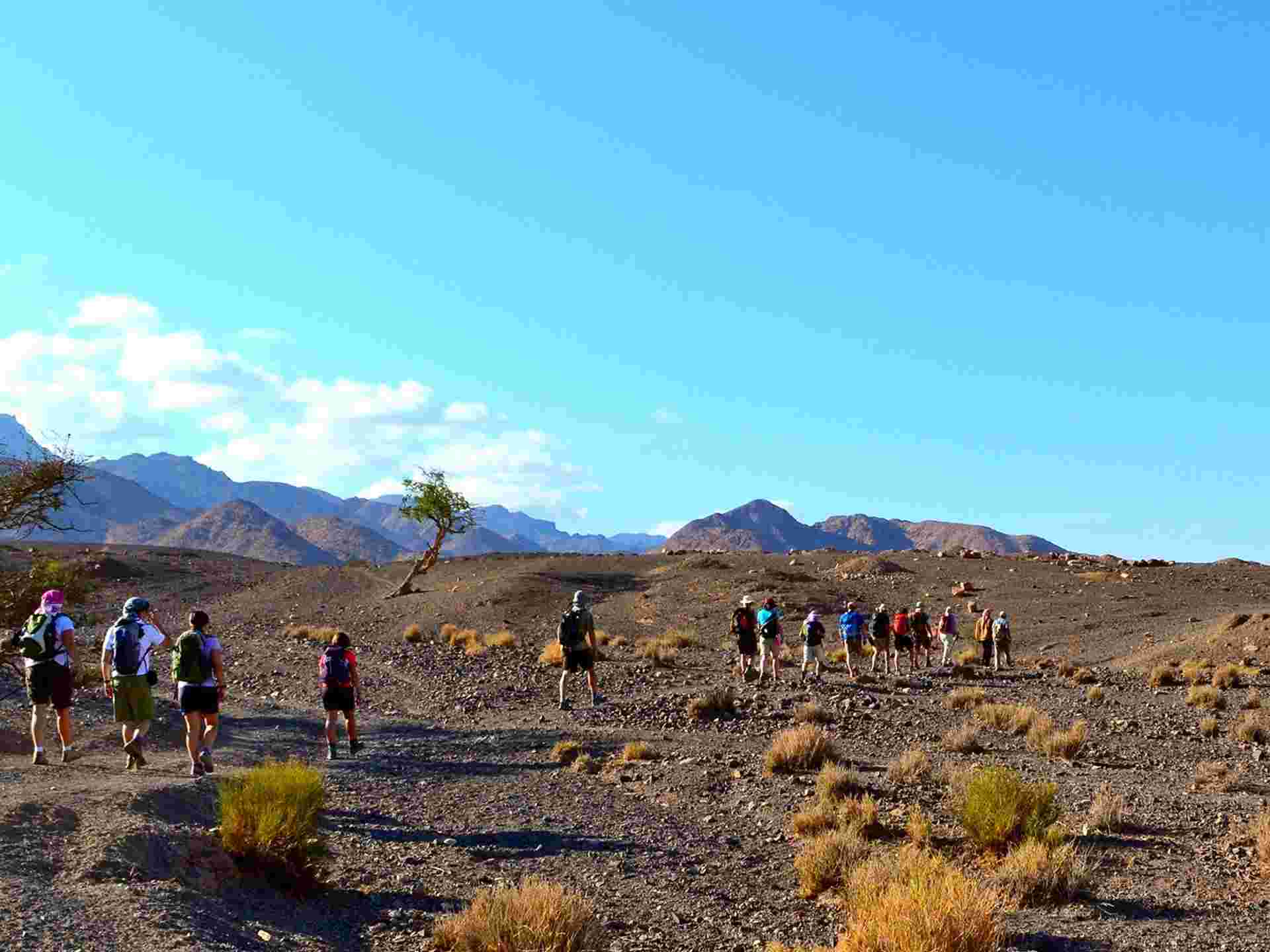 Dana to Petra Trek - 8 Days