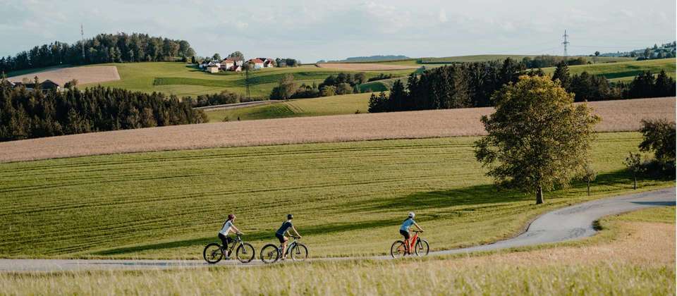 Danube Cycle - Utracks - Germany - Image 6