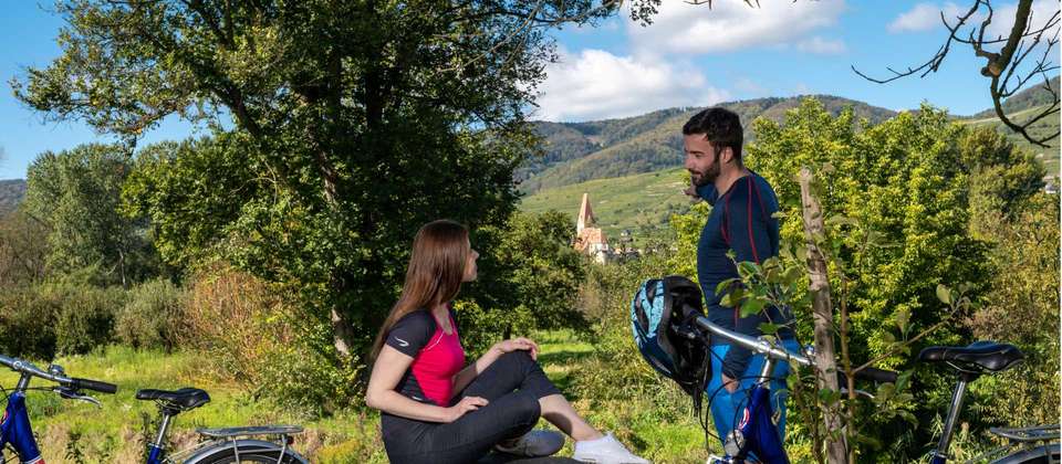 Danube Cycle - Utracks - Germany - Image 9