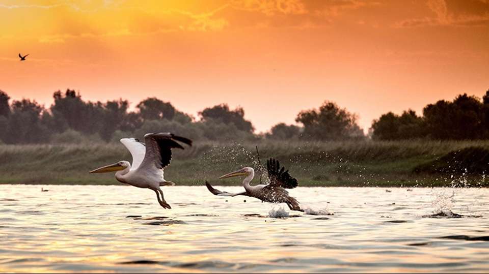 Danube Delta Safari 3 nights - Rolandia Travel - Romania - Image 4