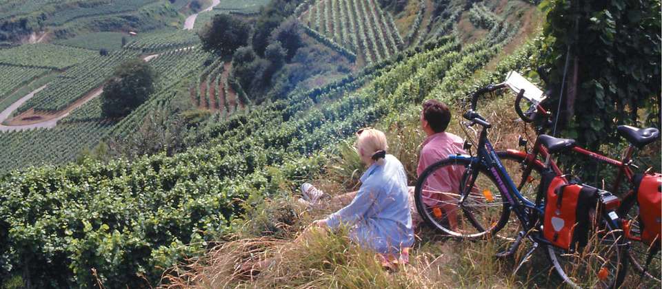 Danube Family Cycle Adventure - Utracks - Austria - Image 6