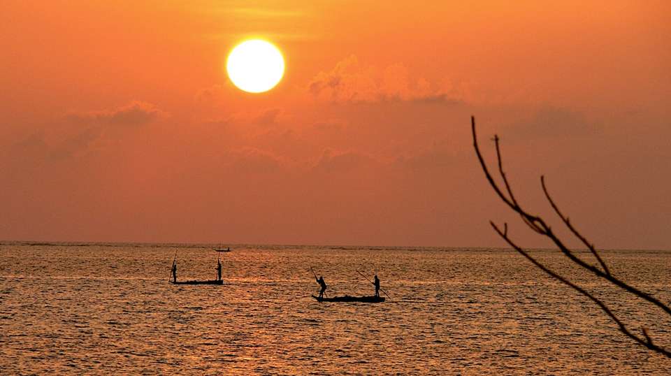 Dar es salaam city tour -Mikumi safari -Zanzibar beach - Kanuth Adventures Safari - Tanzania - Image 3
