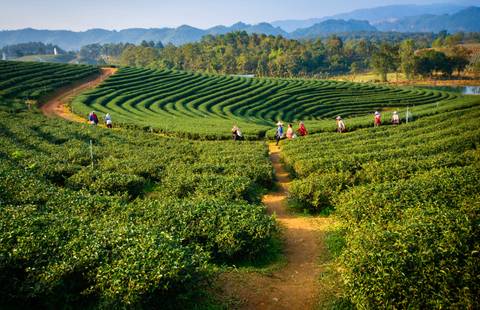 New Delhi Adventure Tour: Darjeeling, Sikkim & The Singalila Ridge